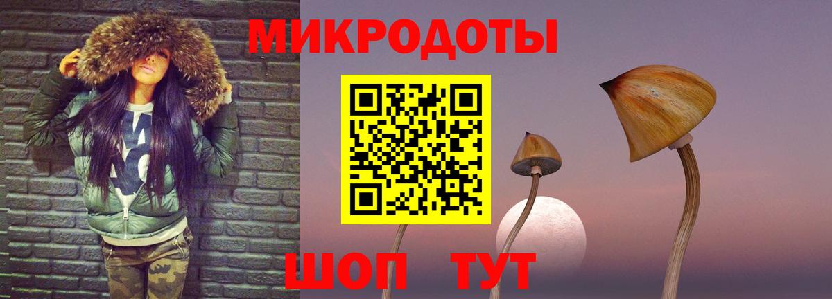 Клин  Псилоцибиновые грибы Cubensis  как найти закладки  Вход с VPN 